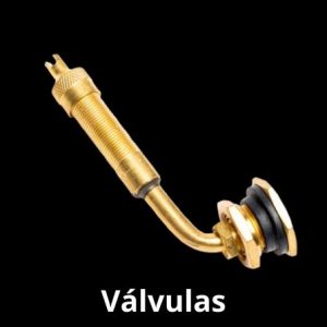 Válvulas
